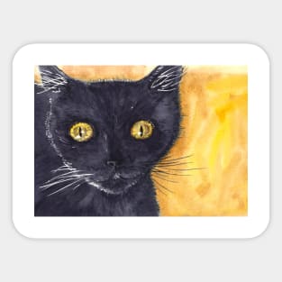 Black cat Sticker